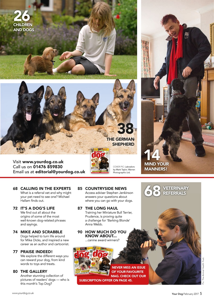 Your Dog Preview Pages