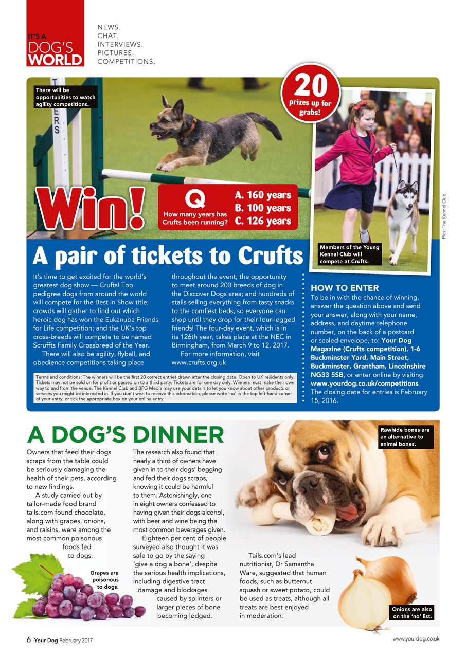 Your Dog Preview Pages