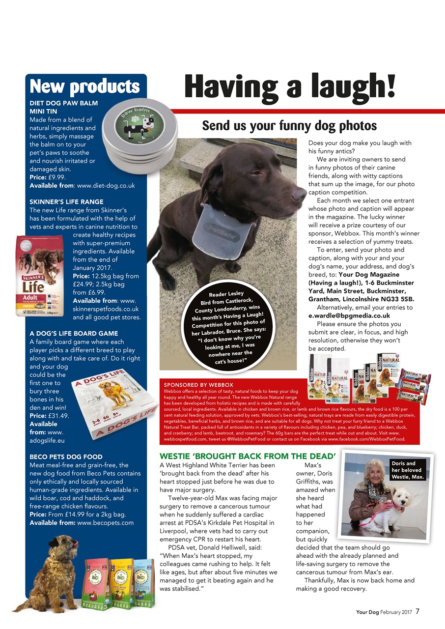 Your Dog Preview Pages