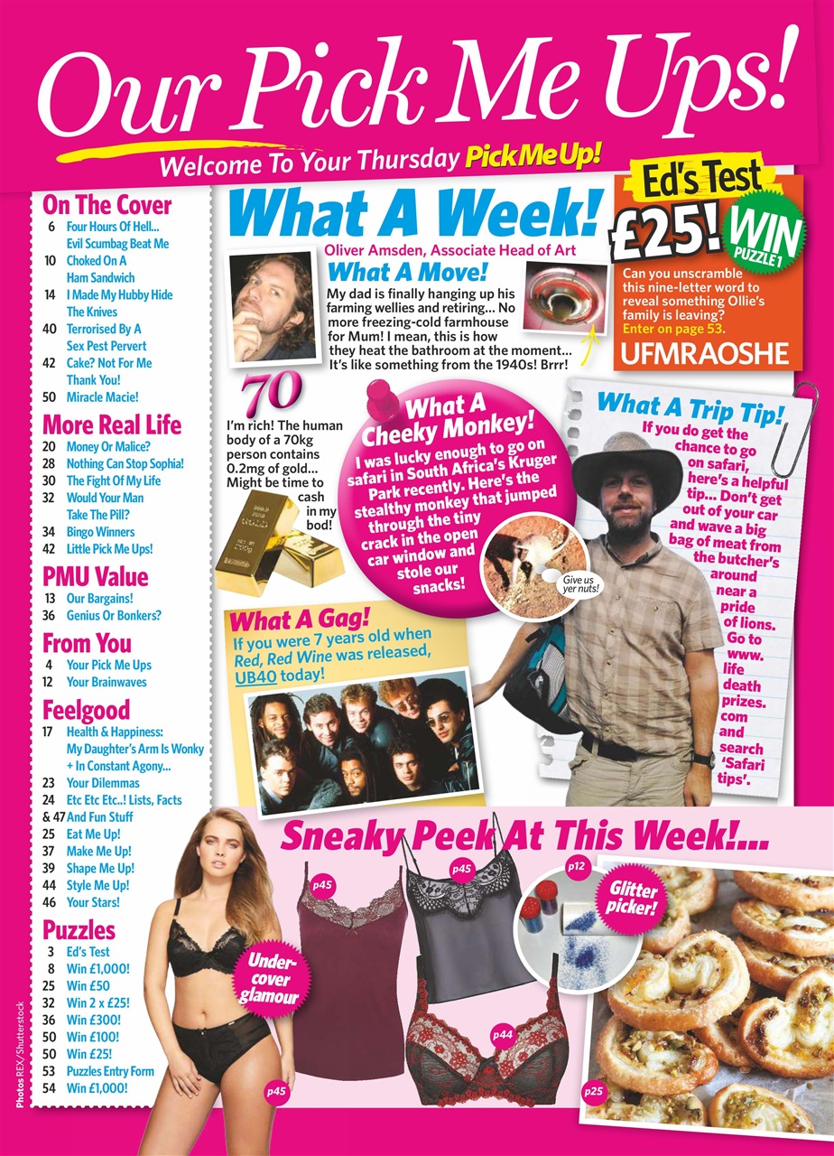Pick Me Up Preview Pages