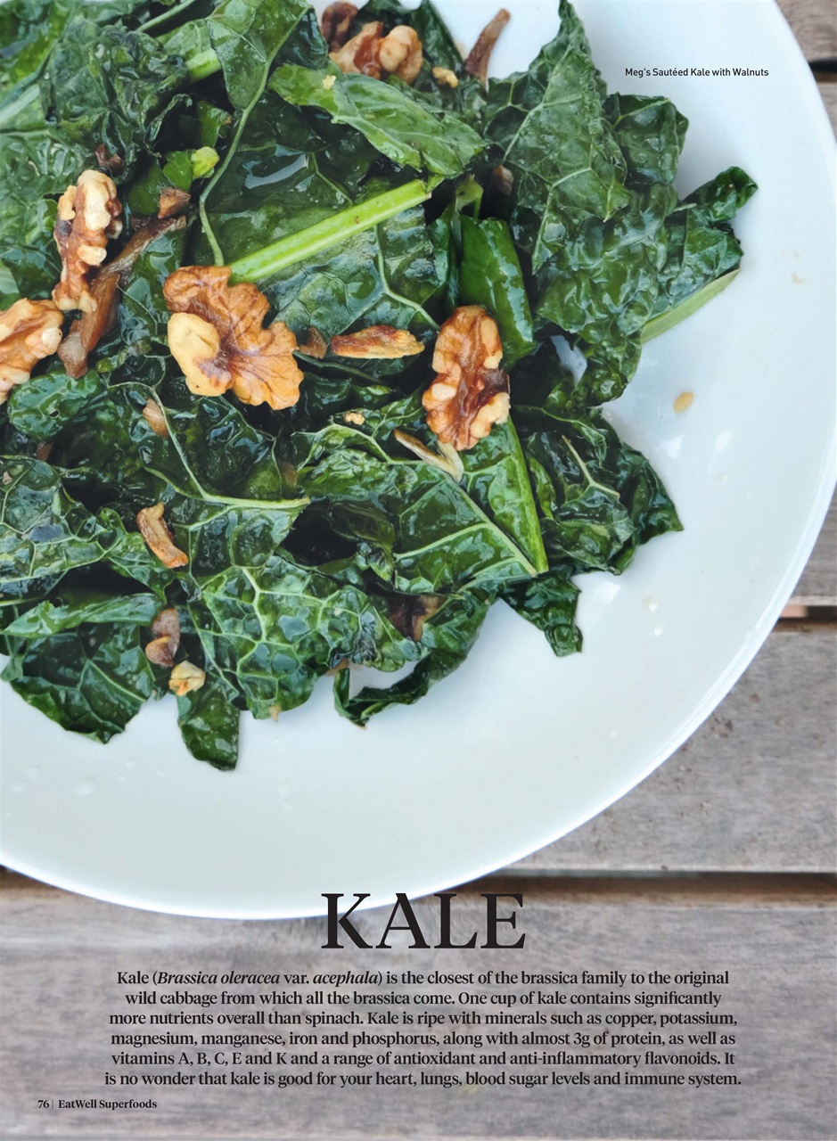 WellBeing For Life Preview Pages