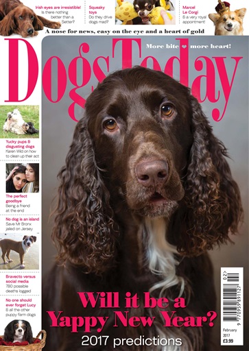 Dogs Today Magazine issue 