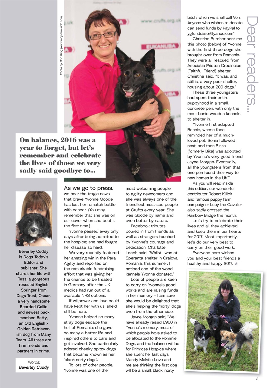 Dogs Today Magazine Preview Pages