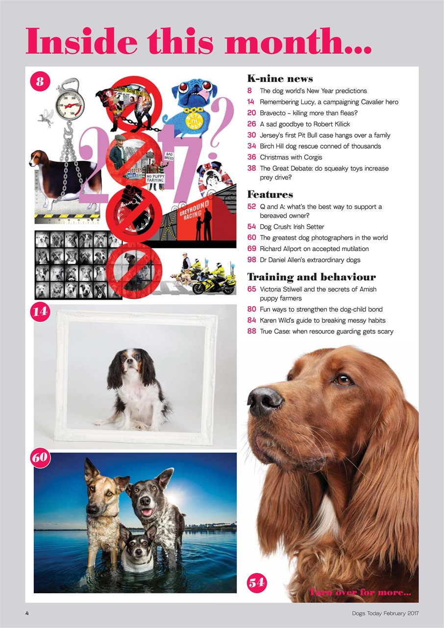 Dogs Today Magazine Preview Pages