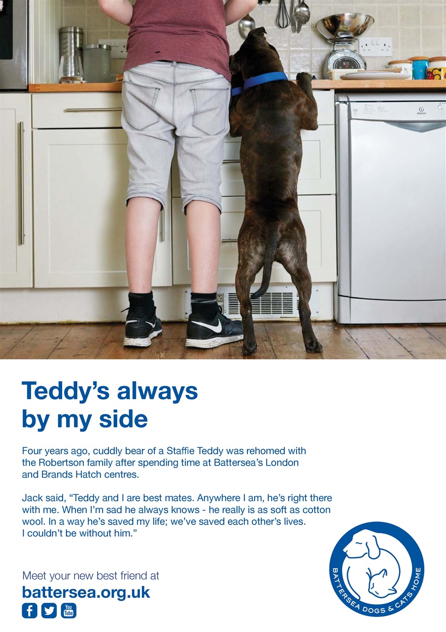 Dogs Today Magazine Preview Pages