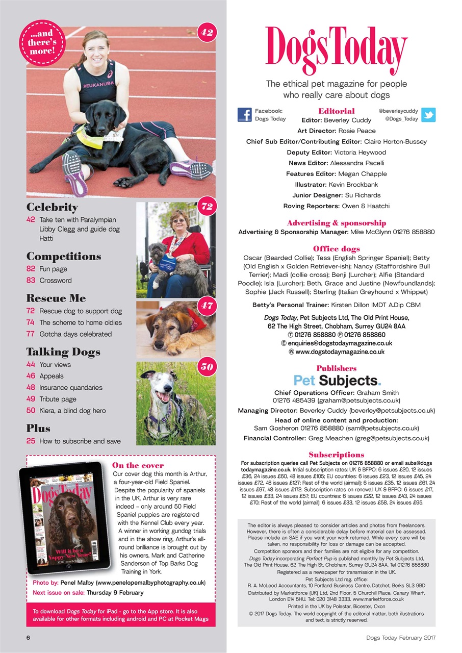 Dogs Today Magazine Preview Pages