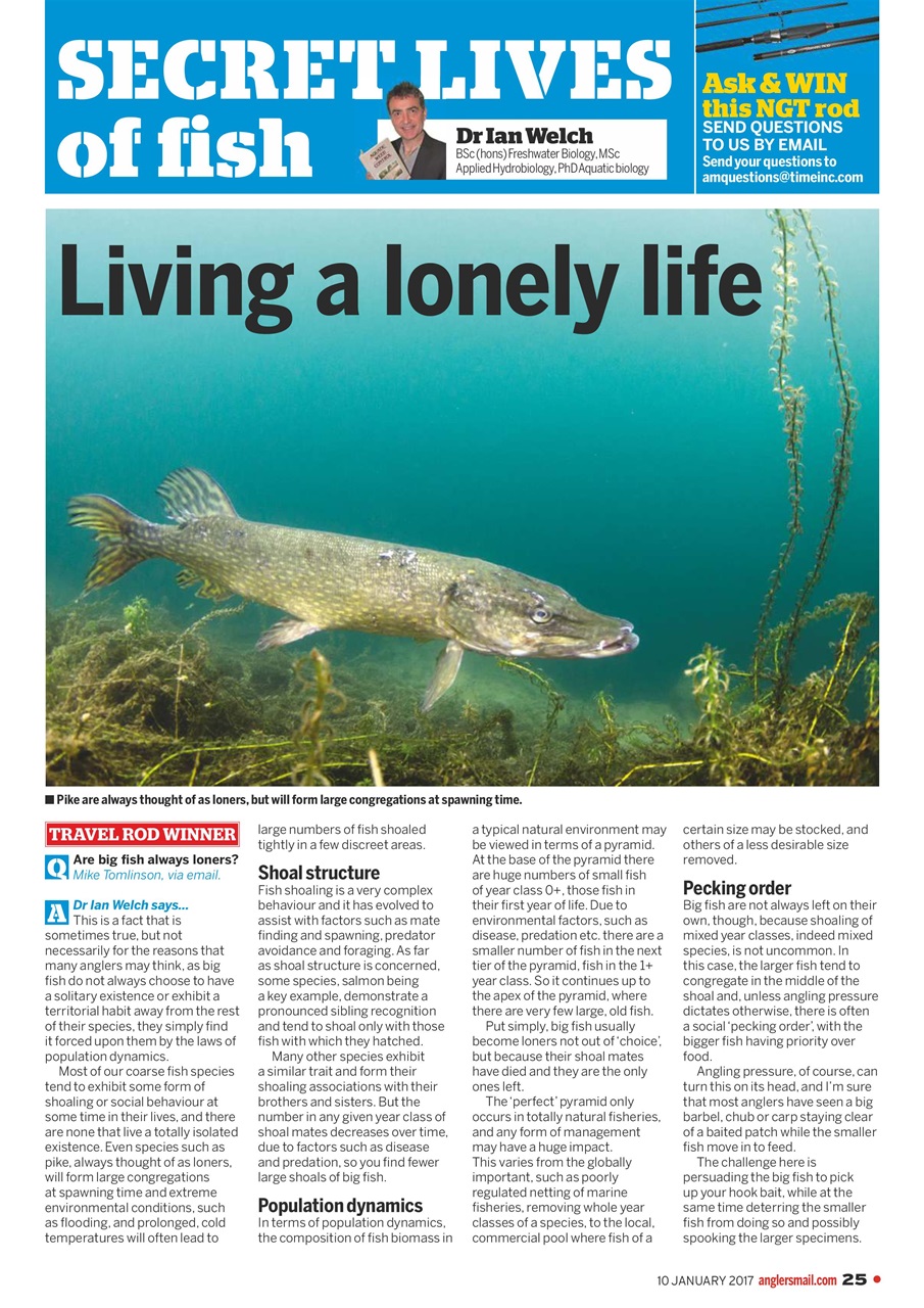 Anglers Mail Preview Pages