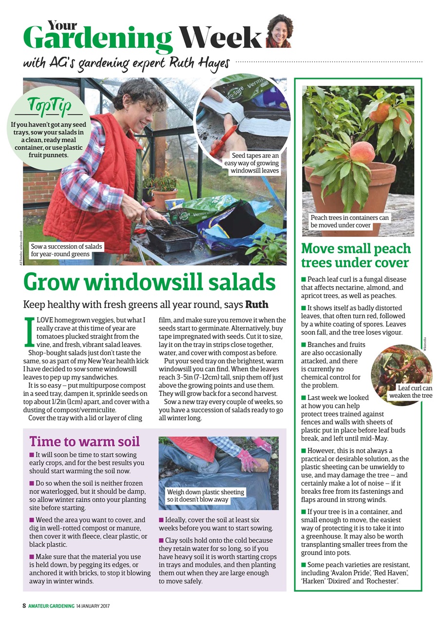 Amateur Gardening Preview Pages