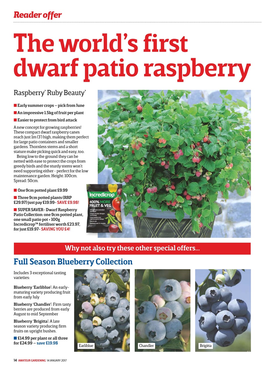 Amateur Gardening Preview Pages