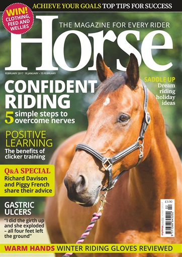 Horse issue 