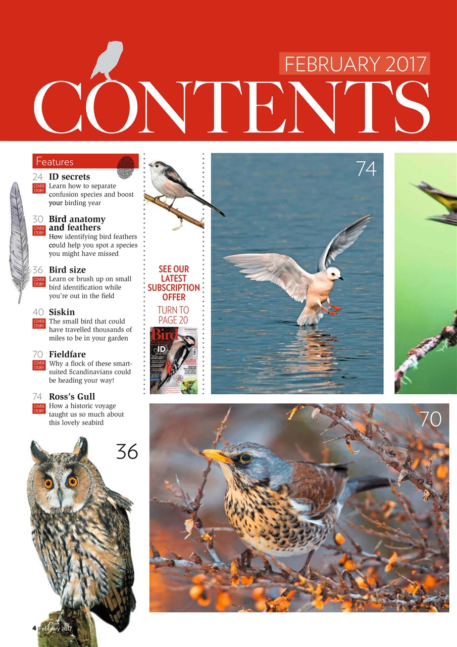Bird Watching Preview Pages