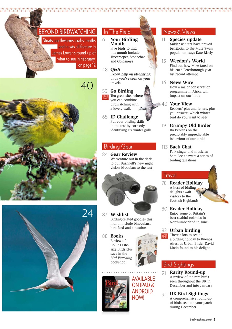 Bird Watching Preview Pages