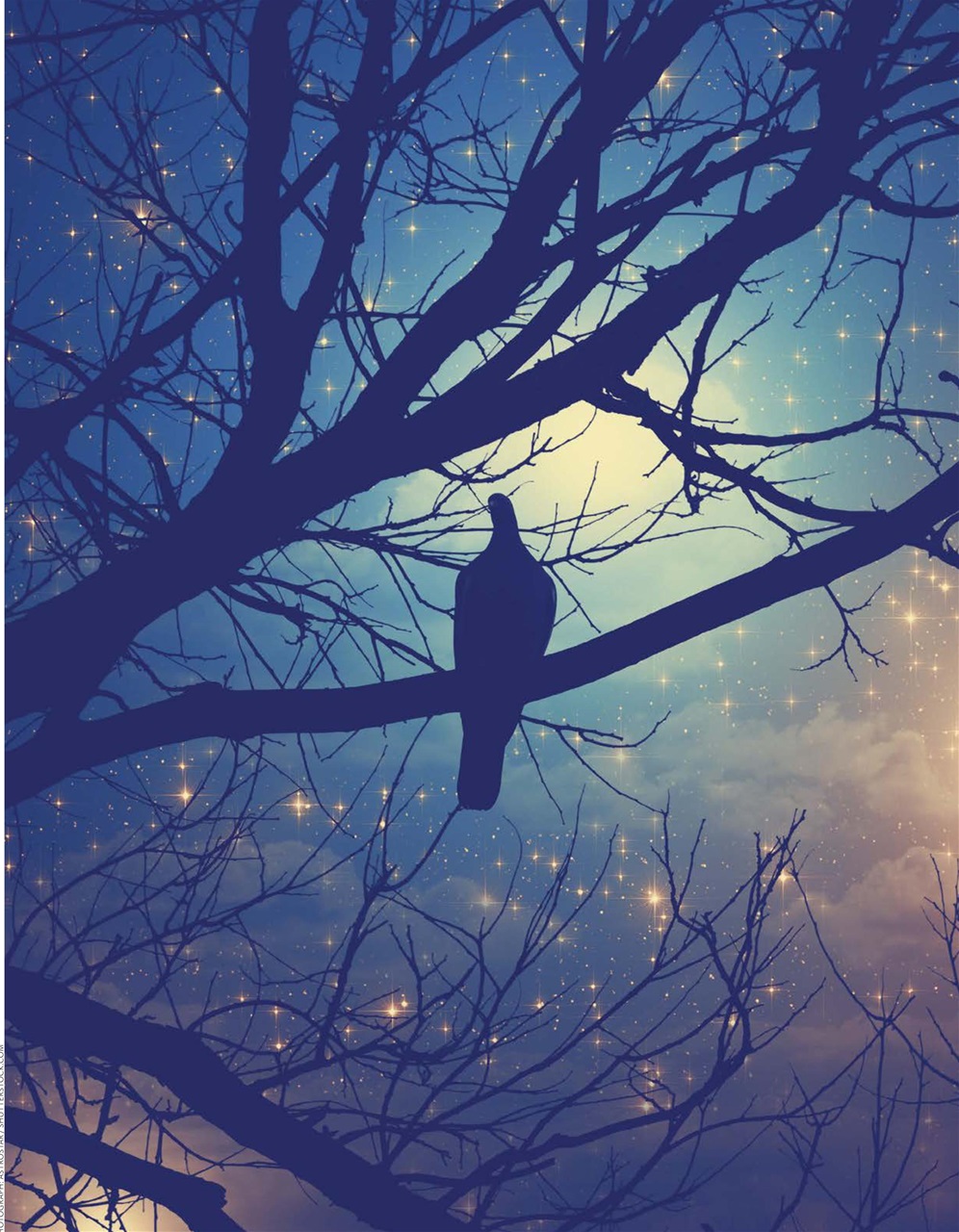 Breathe Preview Pages