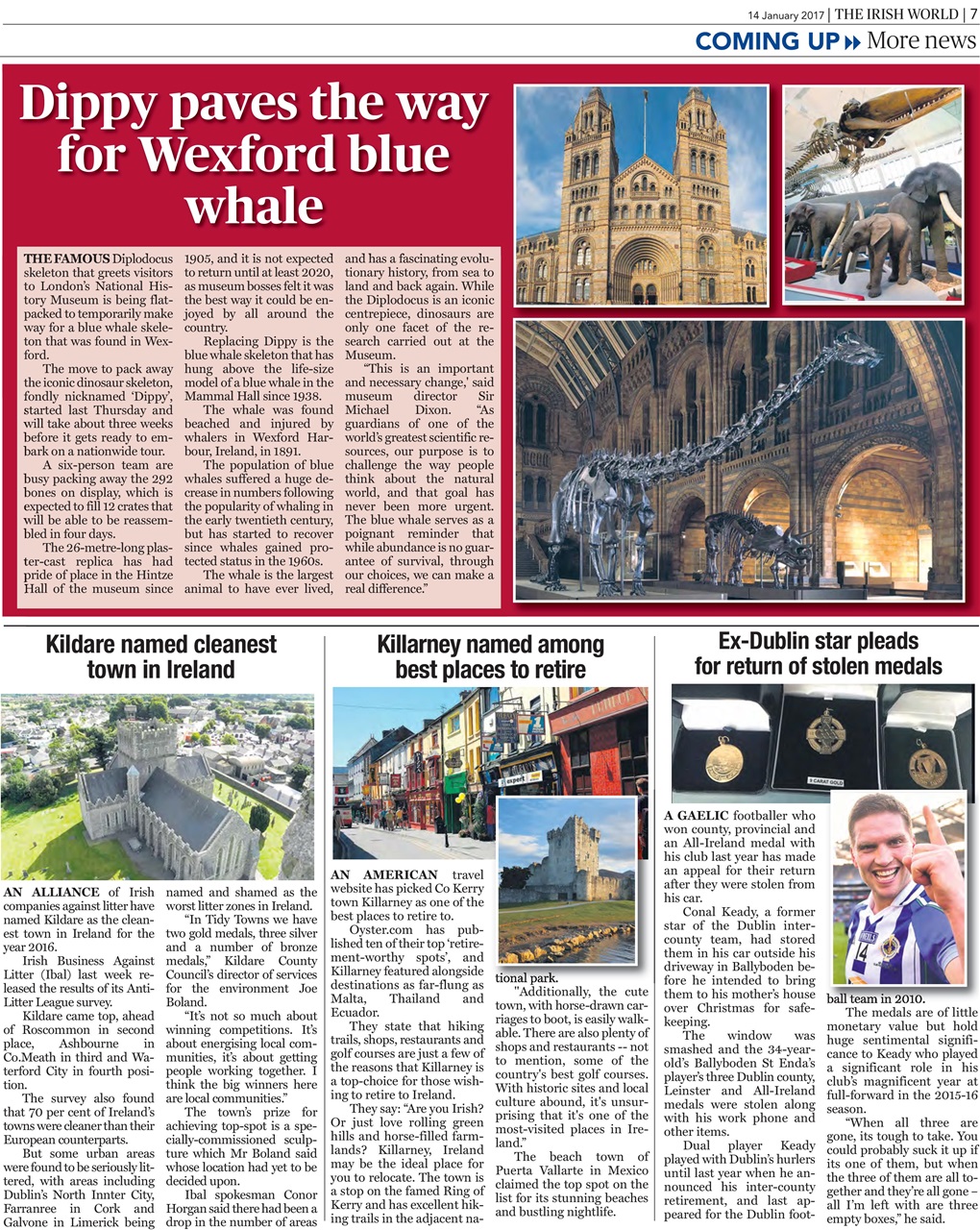 Irish World Preview Pages