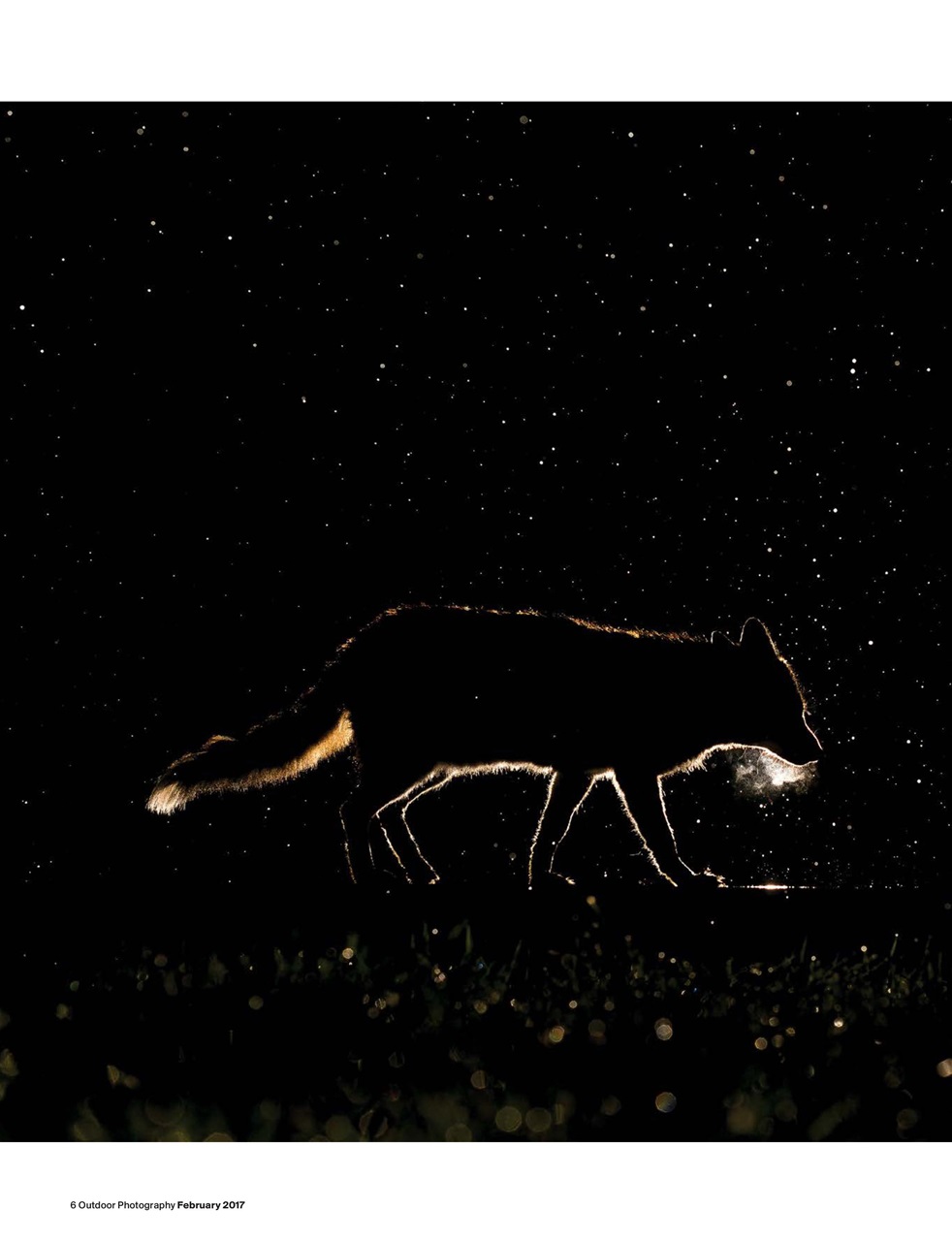 Outdoor Photography Preview Pages