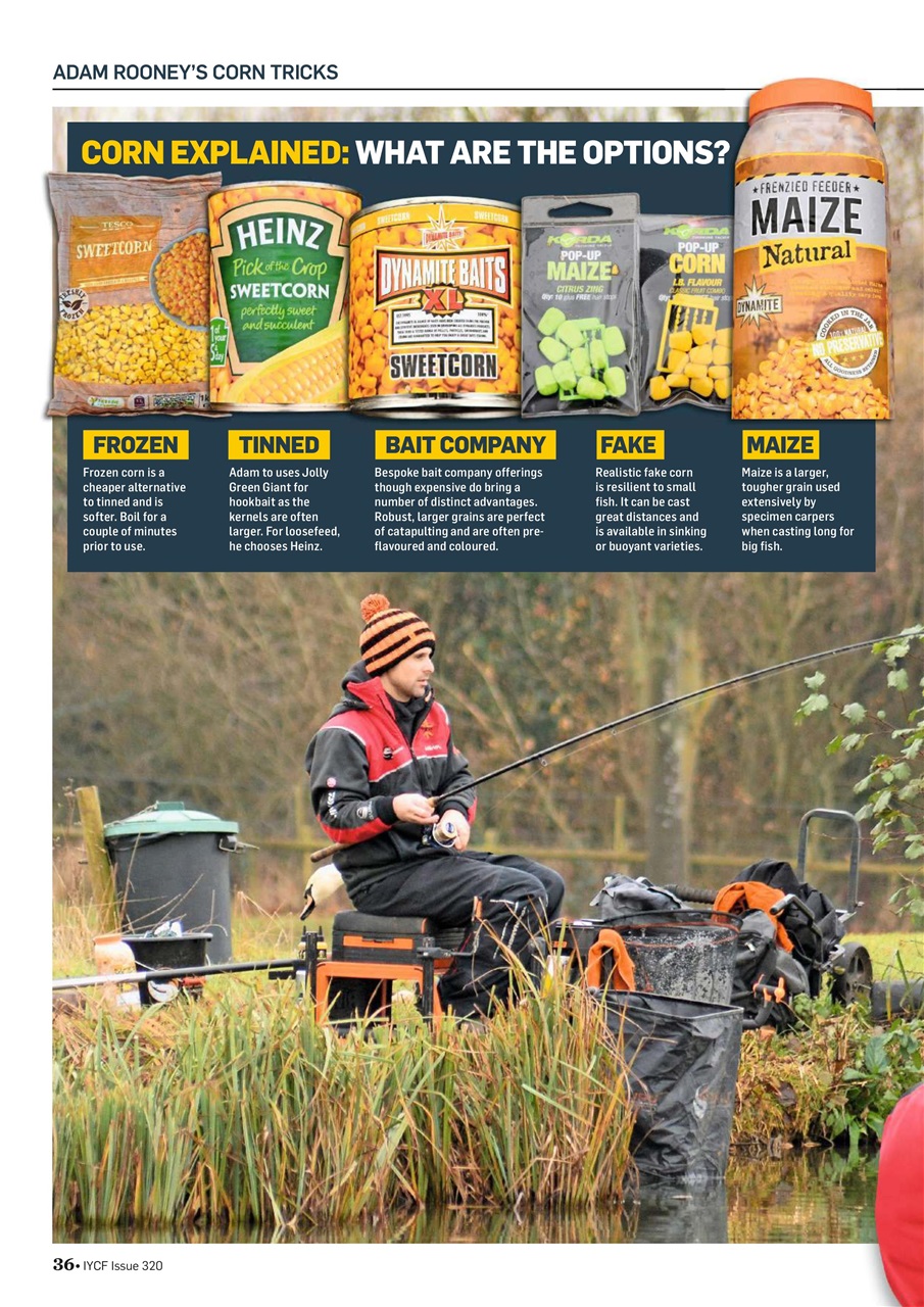 Improve Your Coarse Fishing Preview Pages