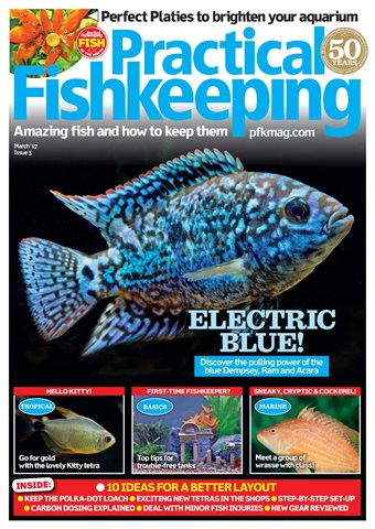 Practical Fishkeeping issue March 2017