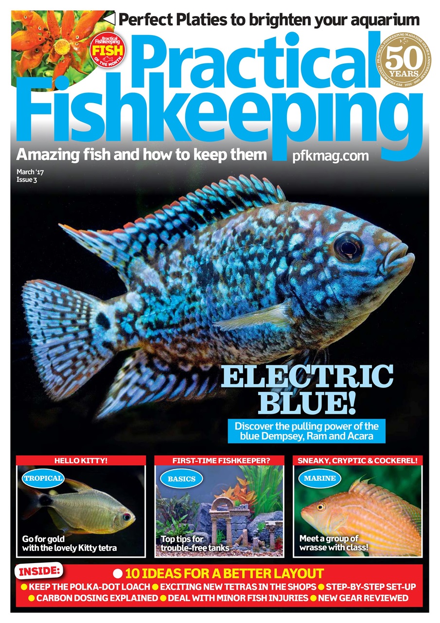 Practical Fishkeeping Preview Pages