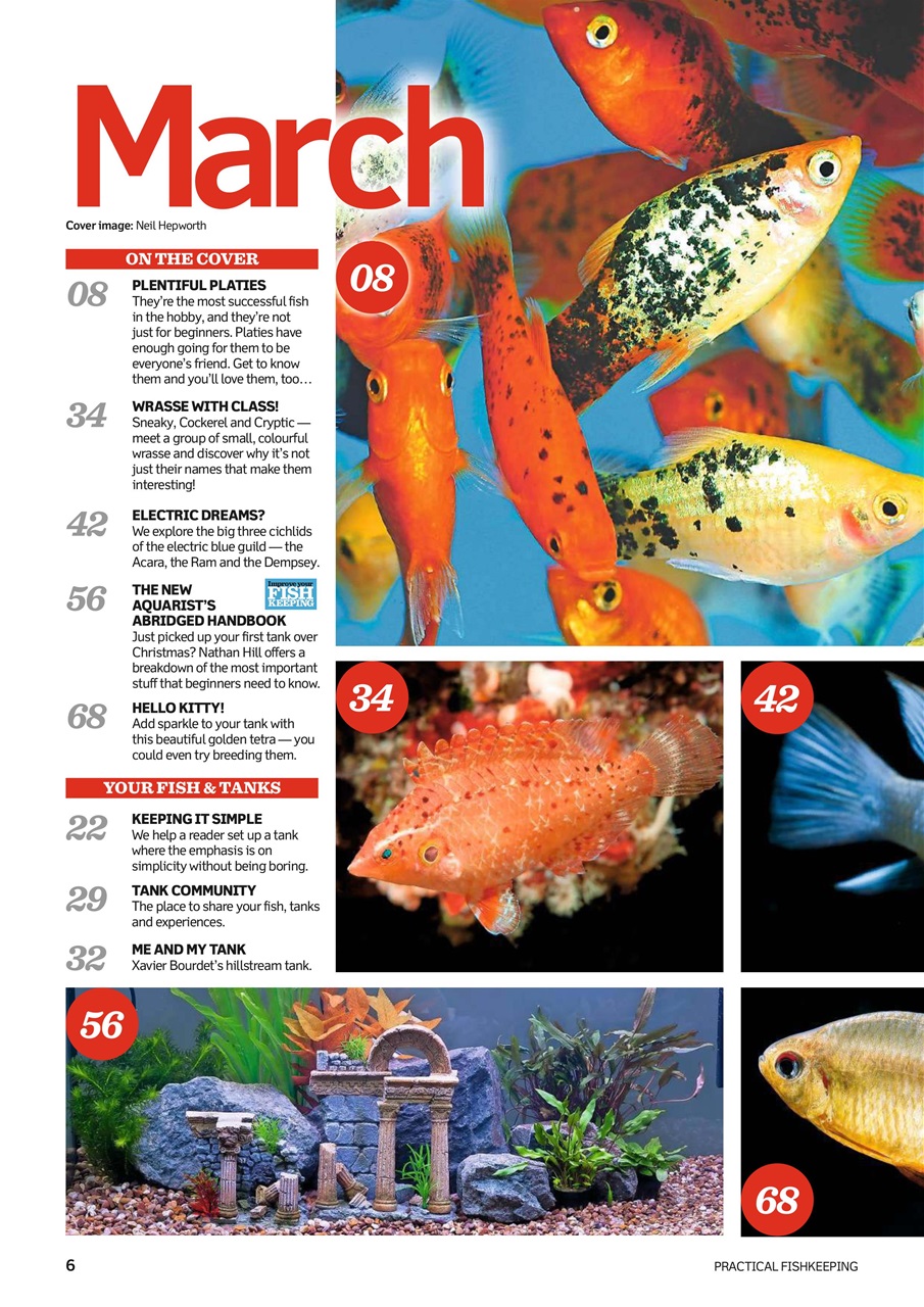 Practical Fishkeeping Preview Pages