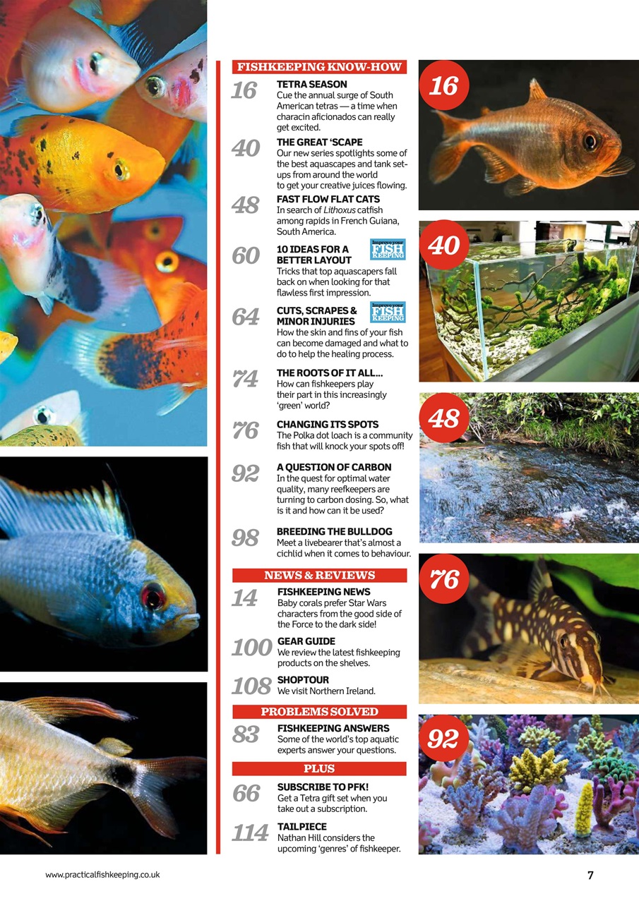Practical Fishkeeping Preview Pages