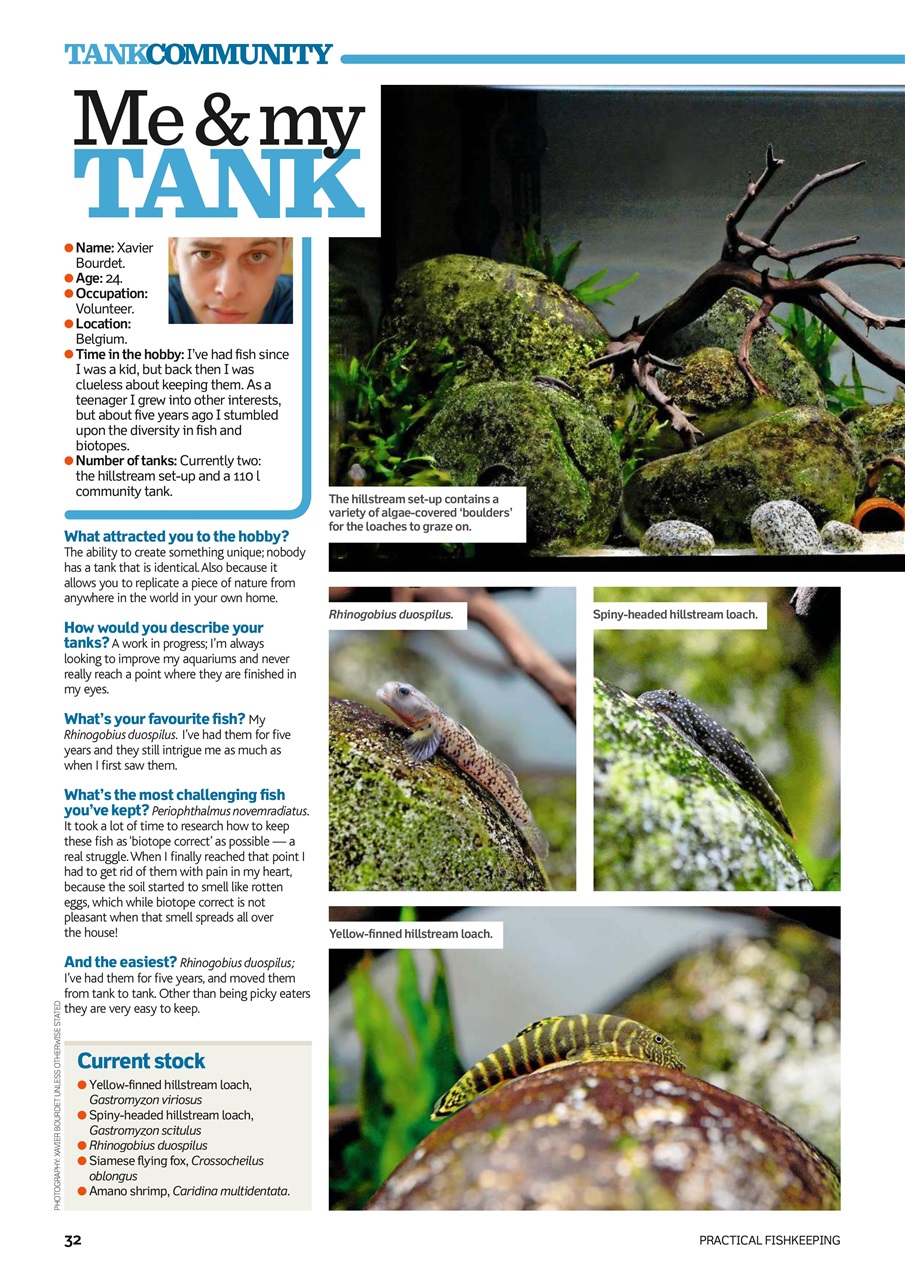 Practical Fishkeeping Preview Pages
