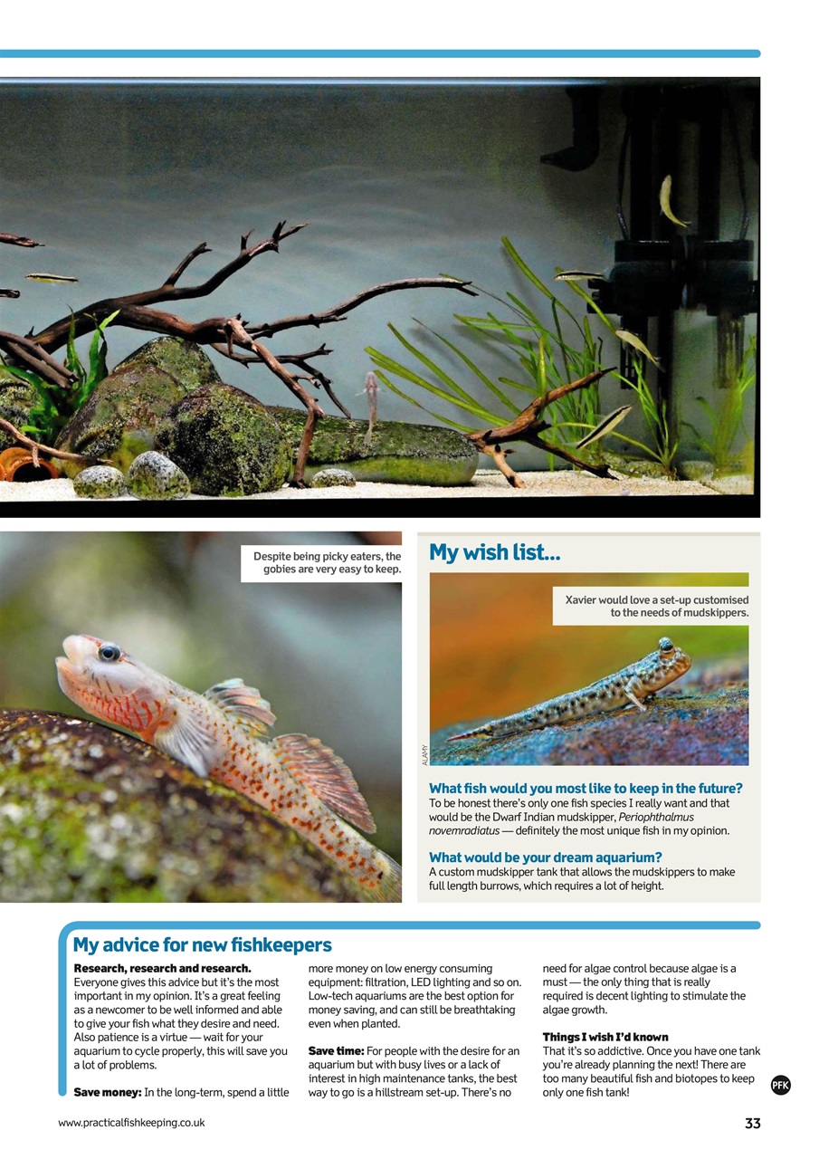 Practical Fishkeeping Preview Pages