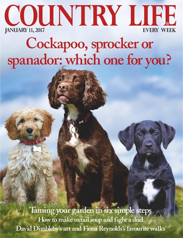 Country Life issue 11th January 2017