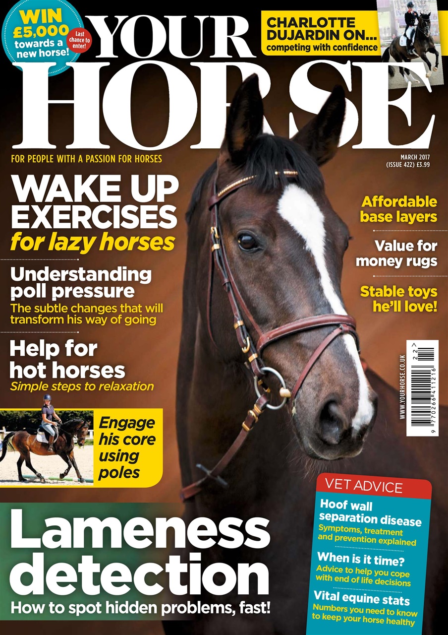 Your Horse Preview Pages