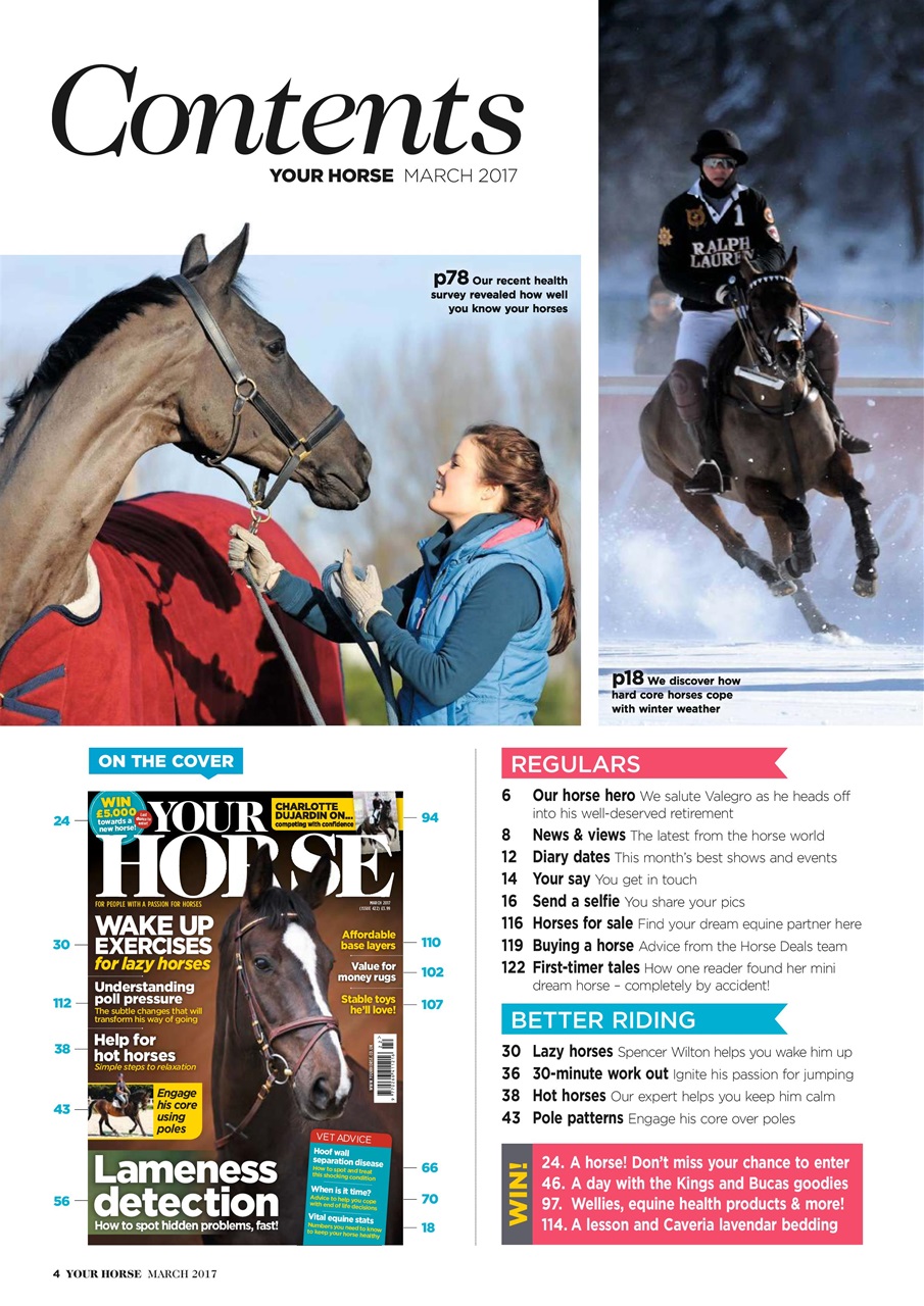 Your Horse Preview Pages