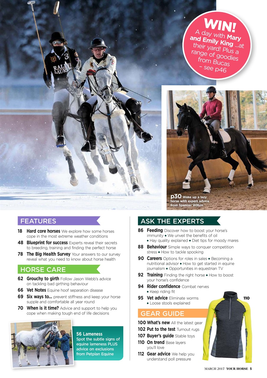 Your Horse Preview Pages