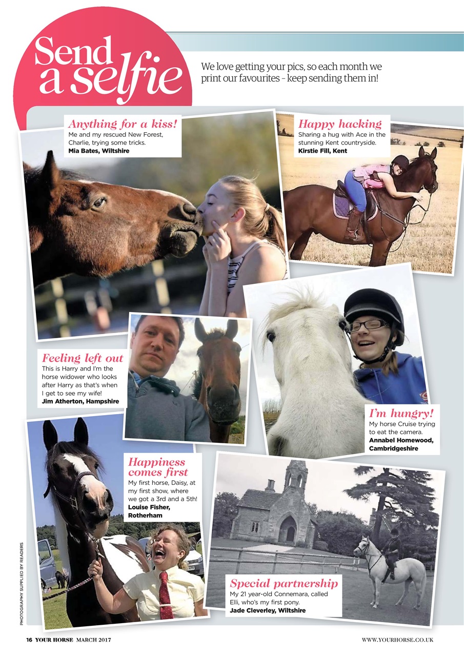 Your Horse Preview Pages