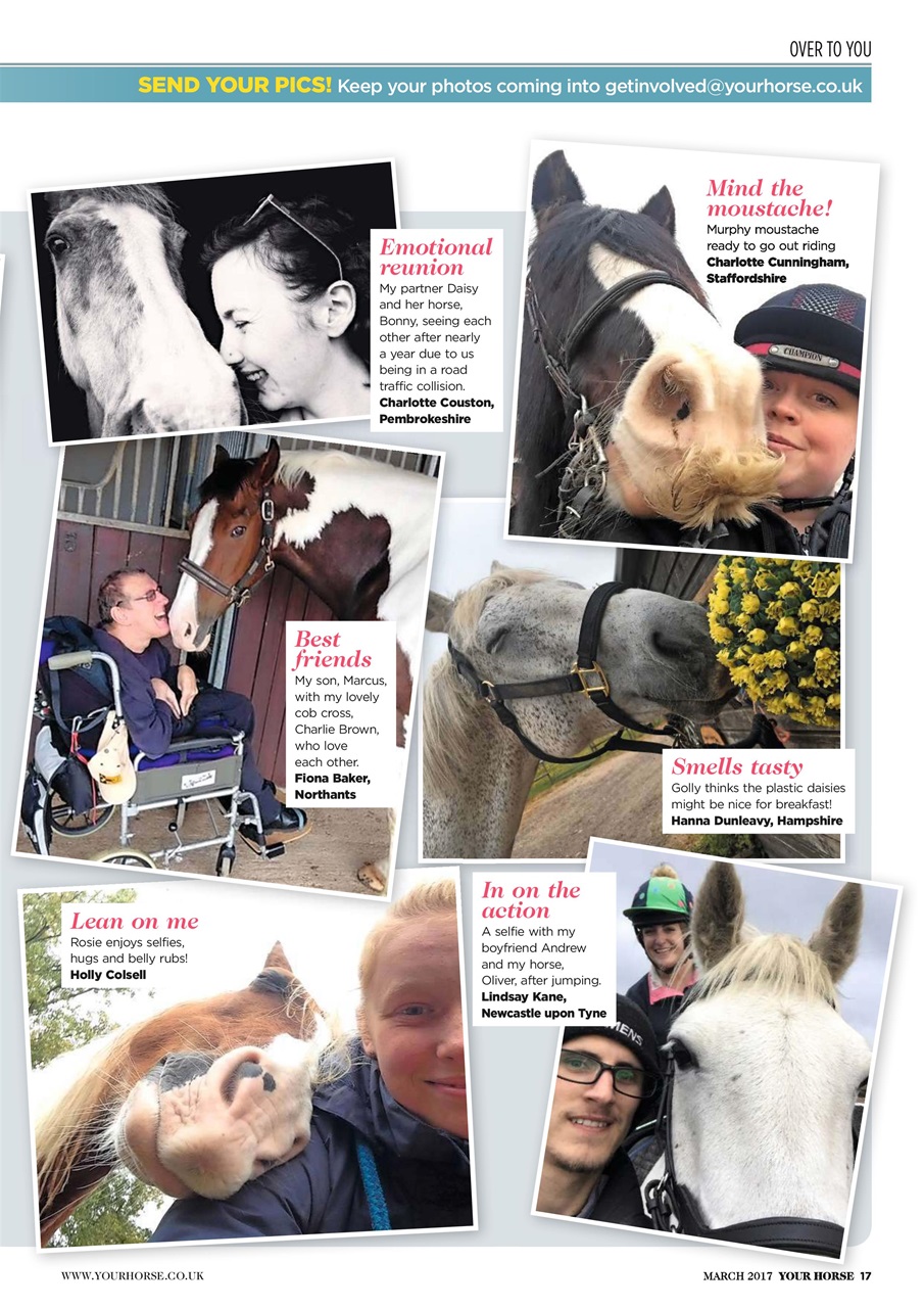 Your Horse Preview Pages