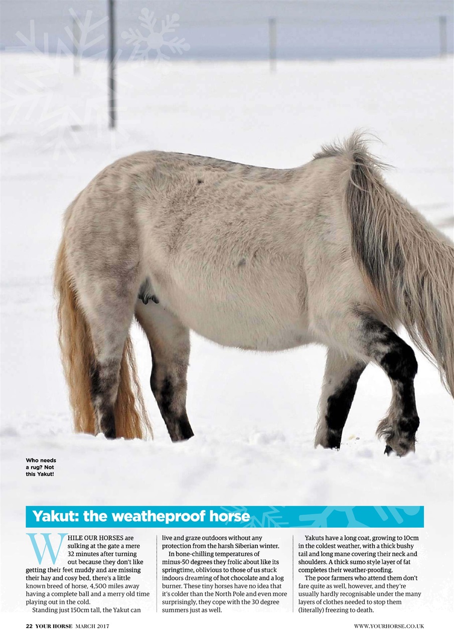 Your Horse Preview Pages