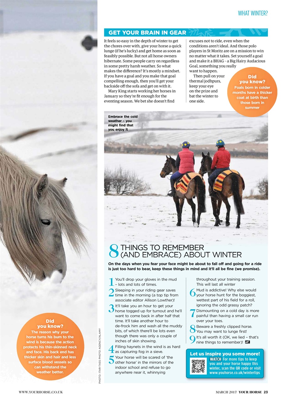 Your Horse Preview Pages