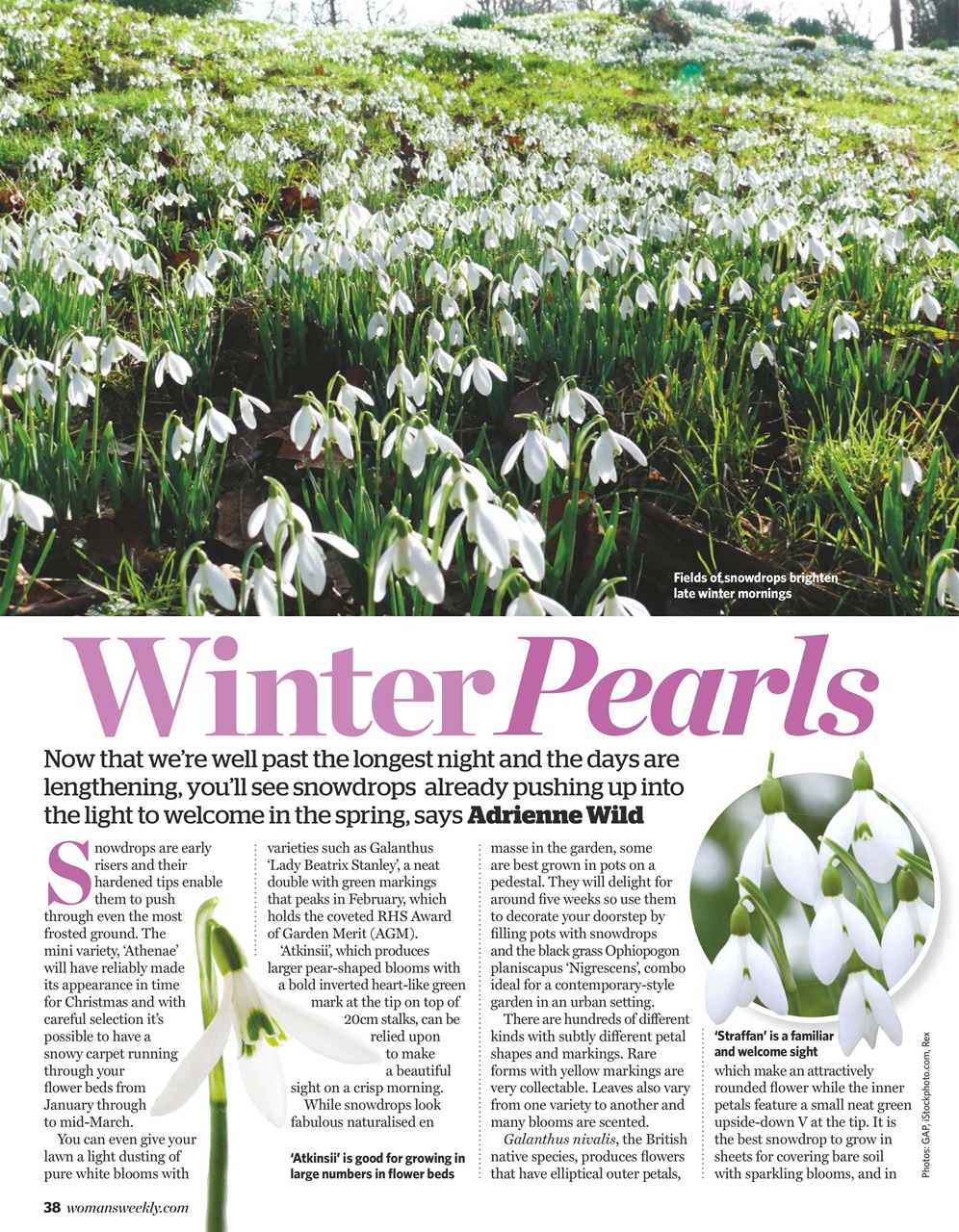 Woman's Weekly Preview Pages