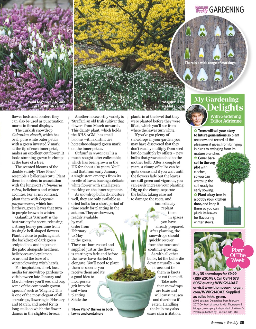 Woman's Weekly Preview Pages