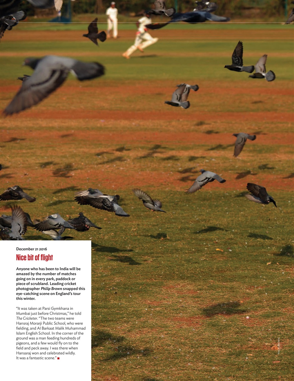 The Cricketer Magazine Preview Pages