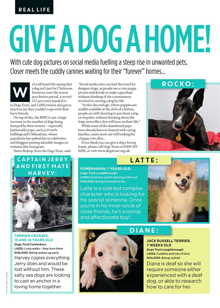 Closer Preview Pages