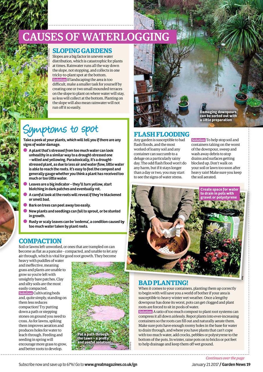 Garden News Preview Pages