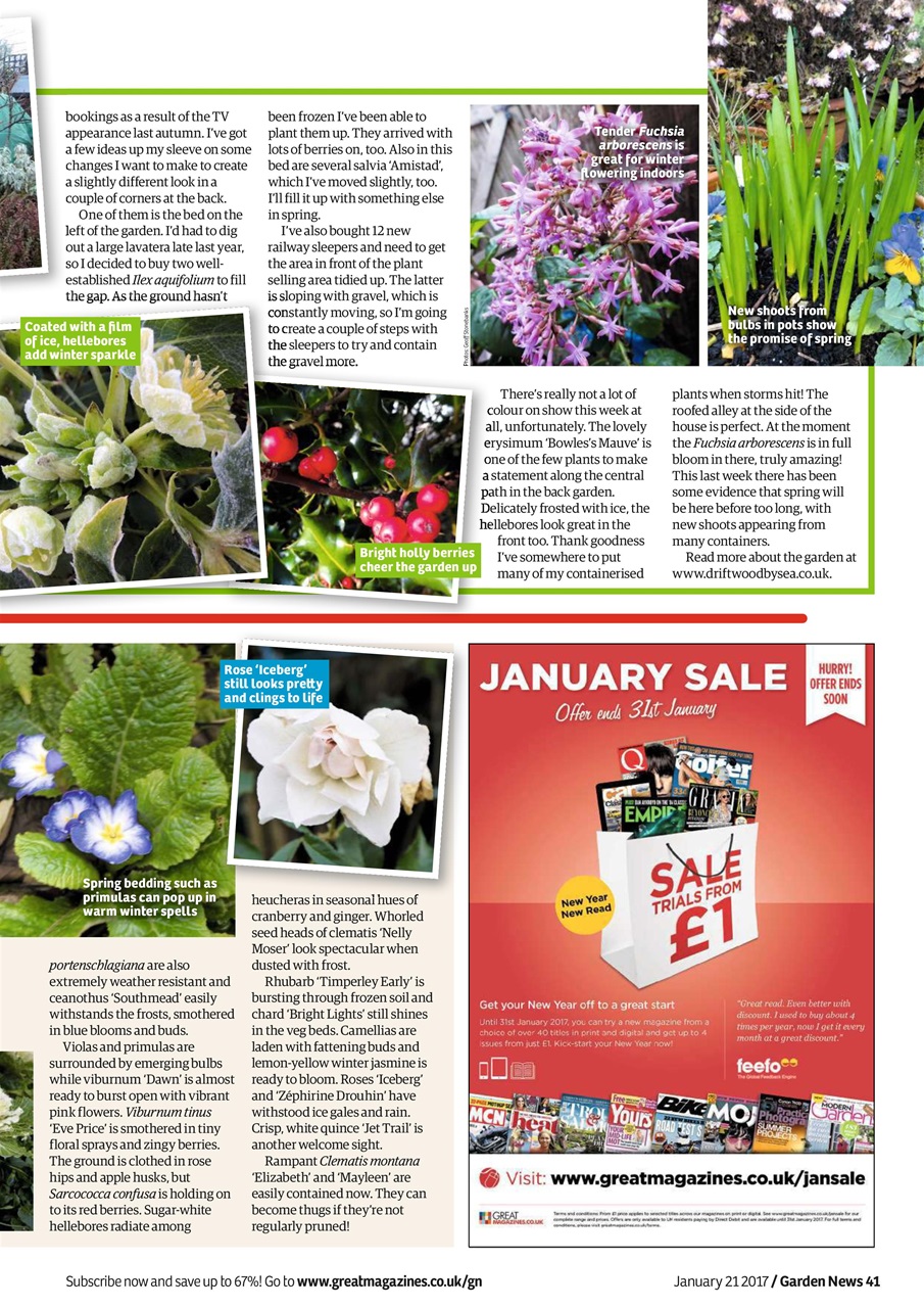 Garden News Preview Pages