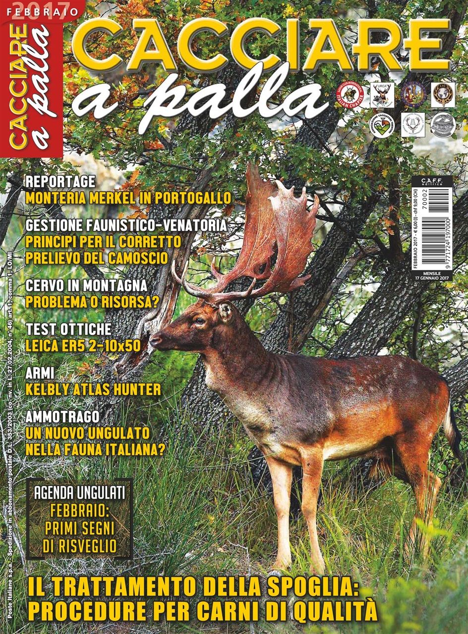 Caccia Magazine Preview Pages