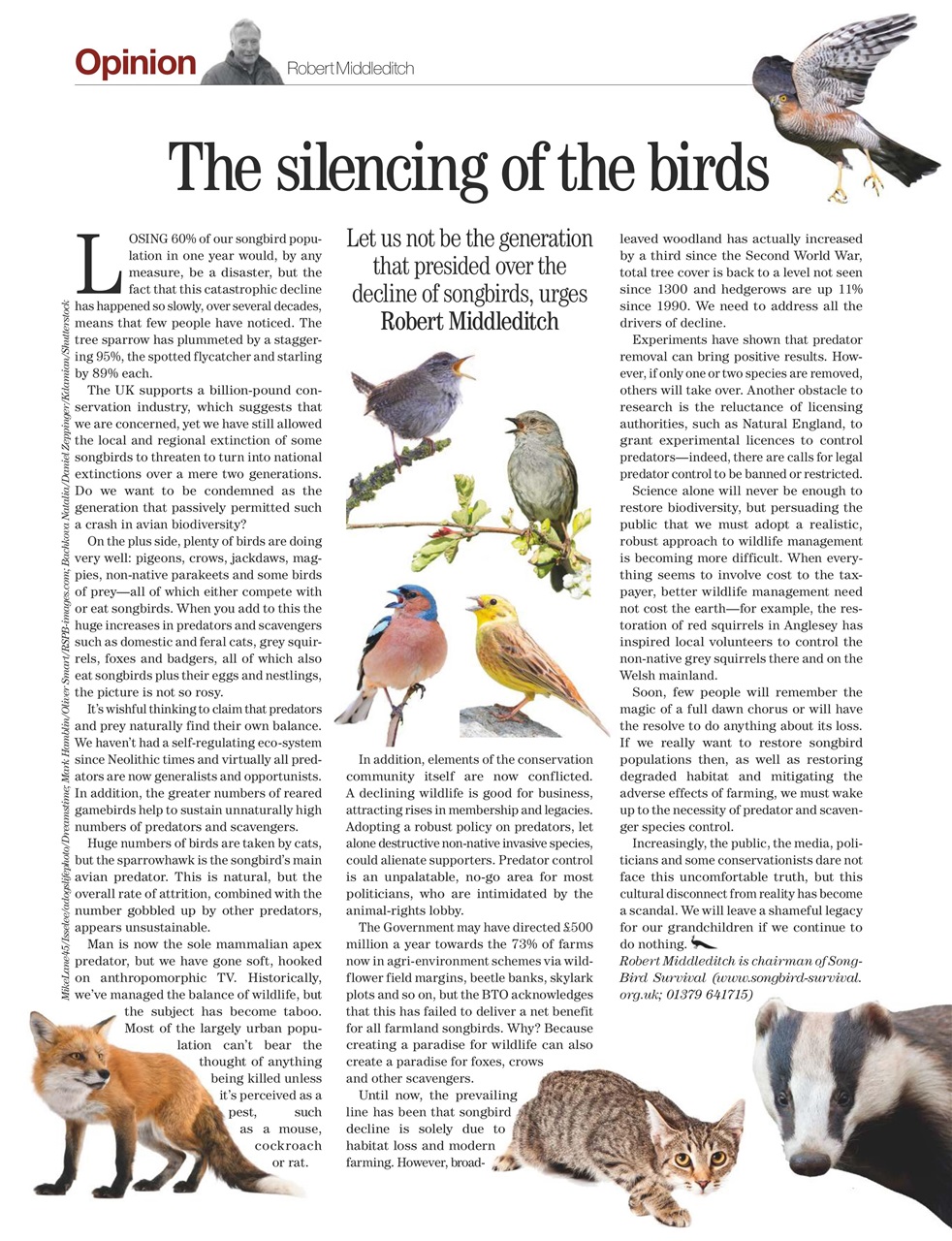 Country Life Preview Pages