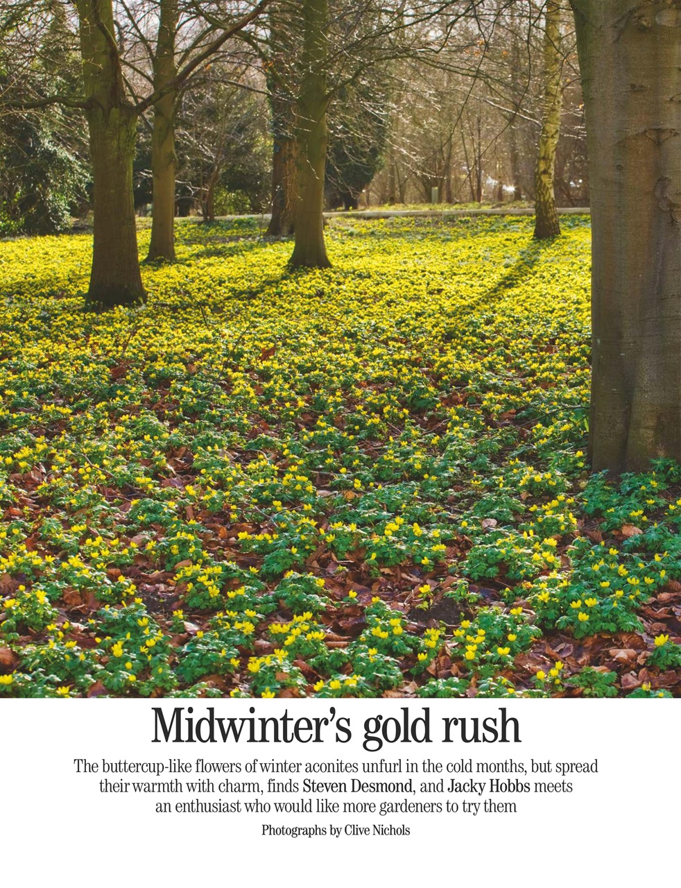 Country Life Preview Pages