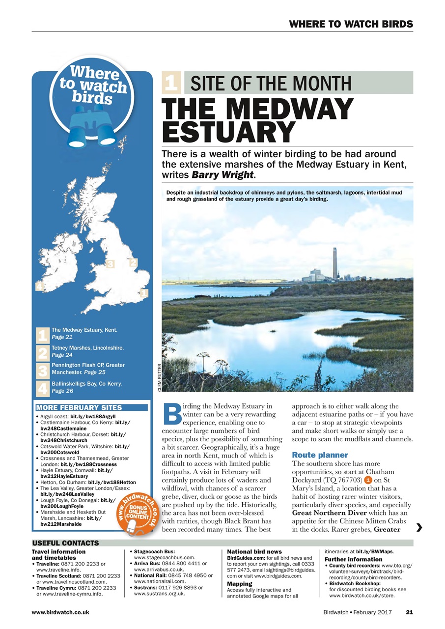 Birdwatch Magazine Preview Pages