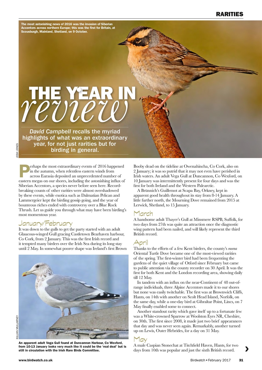 Birdwatch Magazine Preview Pages