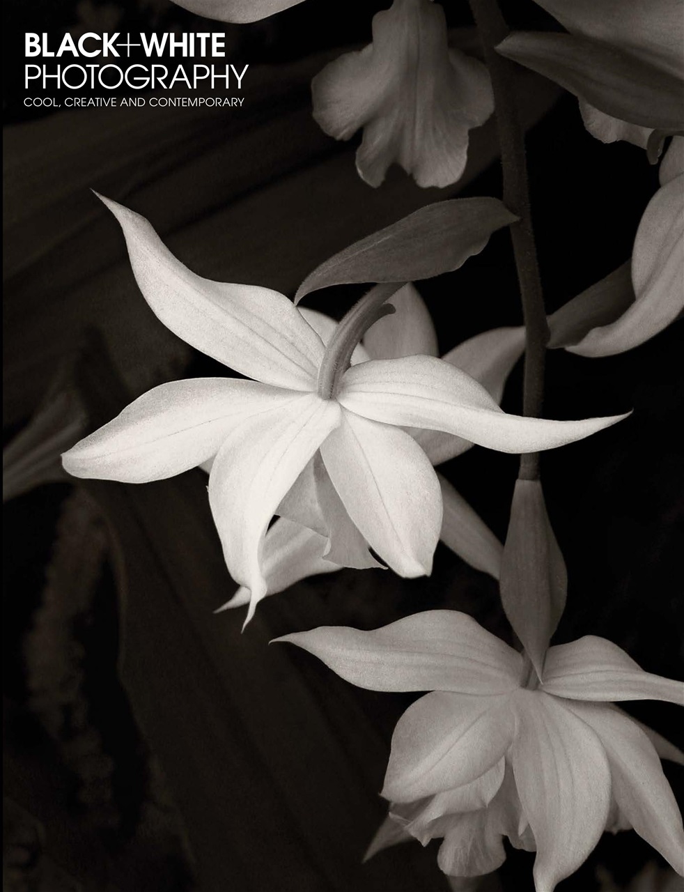 Black+White Photography Preview Pages