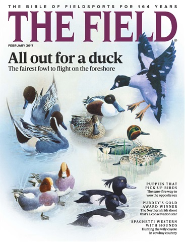 The Field issue February 2017
