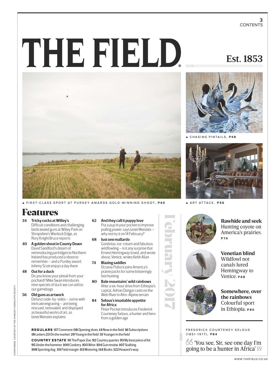 The Field Preview Pages