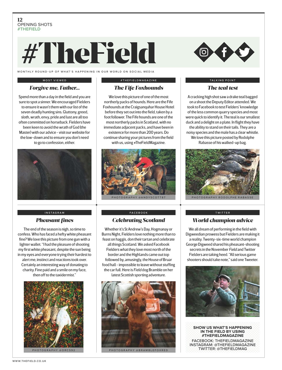 The Field Preview Pages