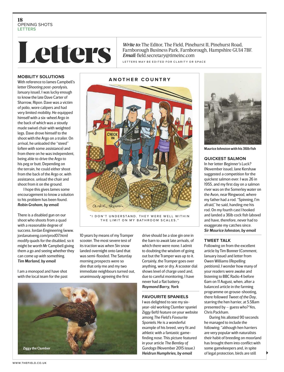 The Field Preview Pages